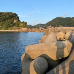 夕まづめアジング