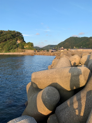 夕まづめアジング