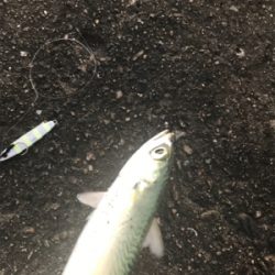 ネイリかと思ったらまさかの…