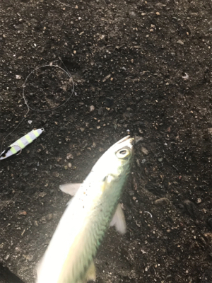 ネイリかと思ったらまさかの…