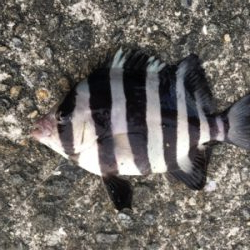 あかん日もある