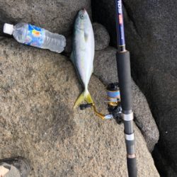 初の磯ジギング