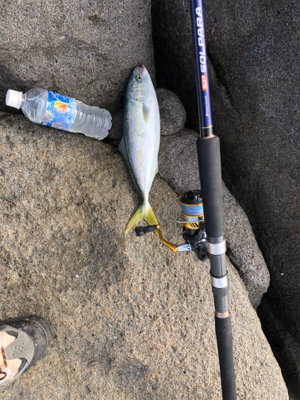 初の磯ジギング