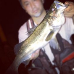 昨日も南港行ってきました！