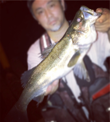 昨日も南港行ってきました！