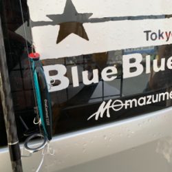 AbuGarcia ワンカレント