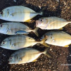 メッキの当たり年