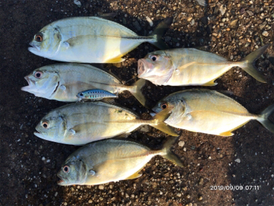 メッキの当たり年