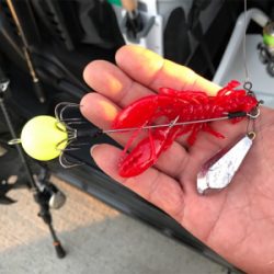 初のオクトパッシング