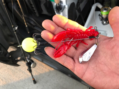 初のオクトパッシング