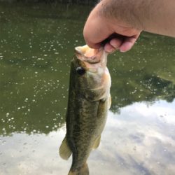 暑い中での釣り