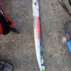 渋ーいサーベル狩り