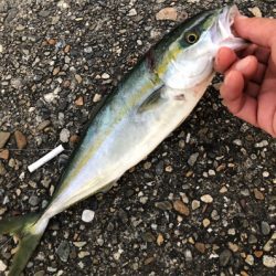 朝練ツバッシング