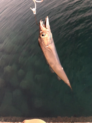 ポロリもあるよ♡