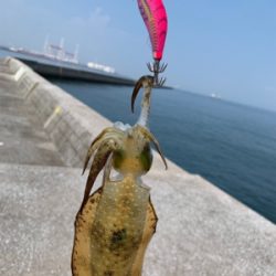 ショアジギで凹まされ…