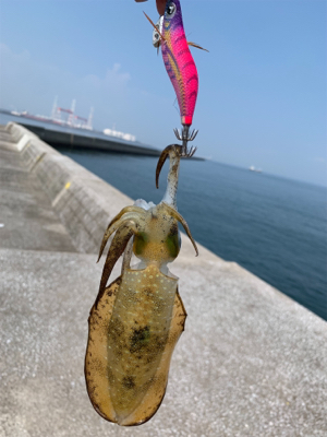 ショアジギで凹まされ…