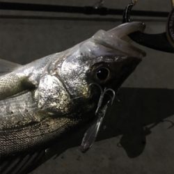 ちょっと良くなったかな？