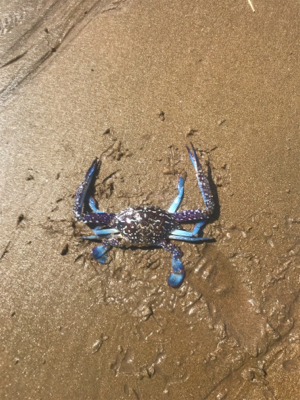 昼からの釣行です