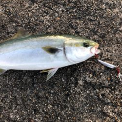 高砂の朝は熱い!