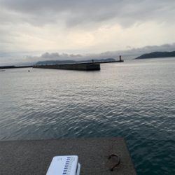 青物不調からのエギング