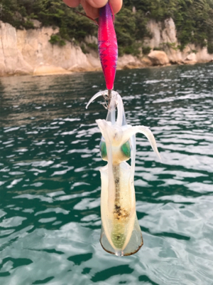 レンタルボート