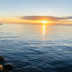 チャーミーと2人で（笑）