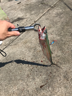 久々のショアジギング