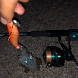 サクッとアオリ