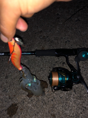 サクッとアオリ