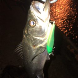 会社の駐車場で…