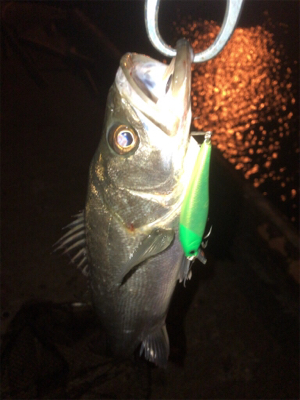 会社の駐車場で…