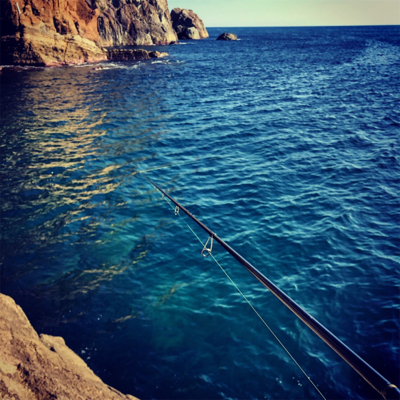 エギングに行ったのに…