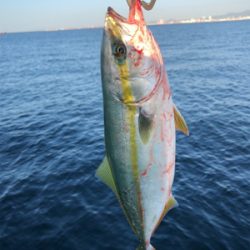 ショアジギング