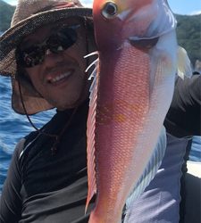 マイボートでアマダイ狙い