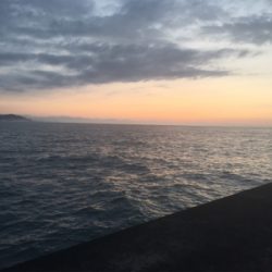 ショアジギングでシオ!