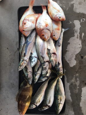 二人でボートジギング