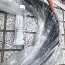 青物パラパラ タチウオ回遊なし