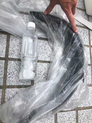 青物パラパラ タチウオ回遊なし