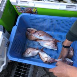 初島沖で船釣り