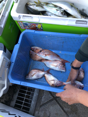 初島沖で船釣り