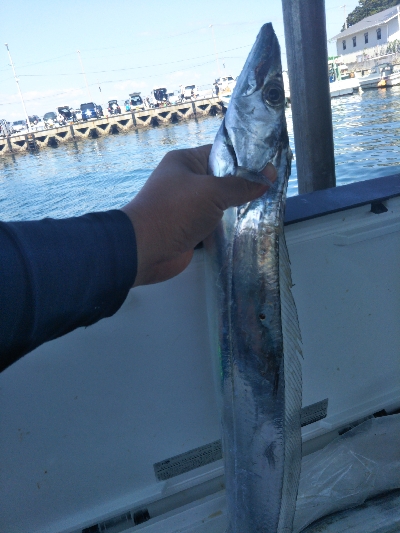 今日は五目釣り?