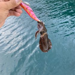 爆風のマイボートエギング