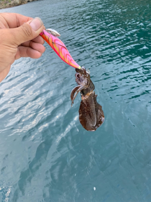 爆風のマイボートエギング