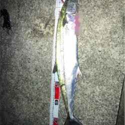 LSJ自己新記録更新