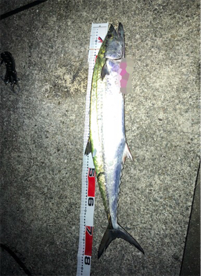 LSJ自己新記録更新