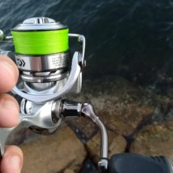 まさかのゲスト