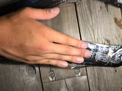 シーズン来たかな