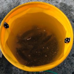 ファミリーフィッシング