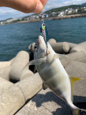 メッキフィーバー