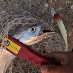 どうにかなった。